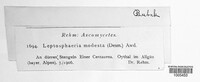 Leptosphaeria modesta image